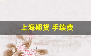 上海期货 手续费(上海期货手续费平台)_https://www.hangfeite.com_科创板_第1张
